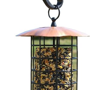 Songbird Essentials Copper