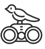 BIRDING ADVENTURES
